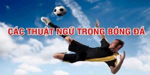 Thuật ngữ bóng đá